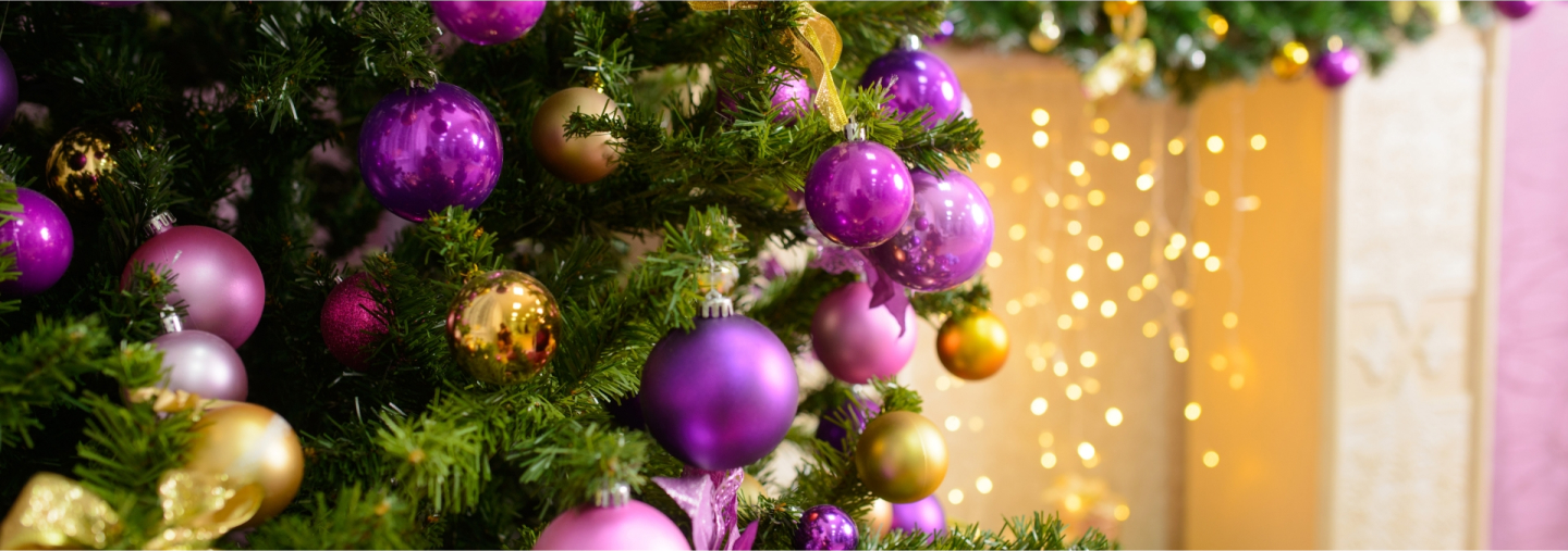 Velkommen til julegaveportalen vår!